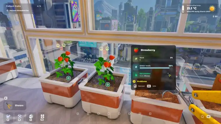 A furnished Tiny Eden bedroom with plants, shelving and decorated walls